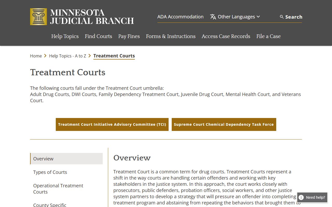 Chisago County court dockets Minnesota treatment court overview