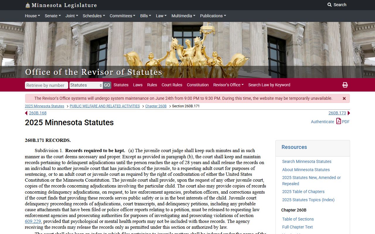 Chisago County probate records juvenile and guardianship access limits